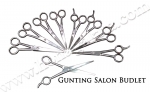 Gunting Salon (Saloon Scissors)